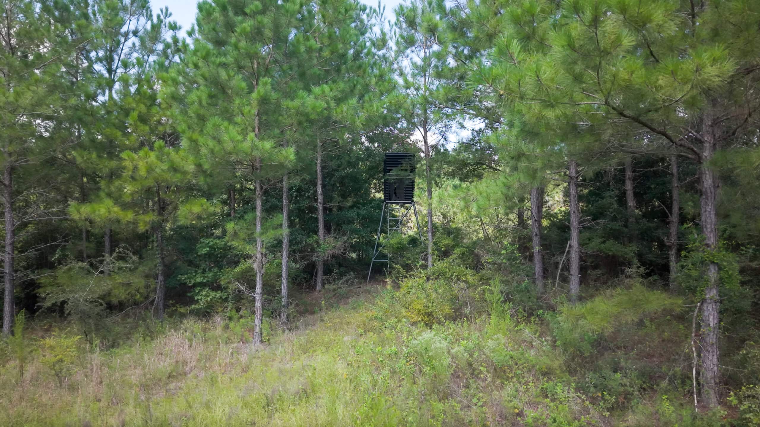 224.56 Acres | Buck Creek 224 | Montezuma, GA